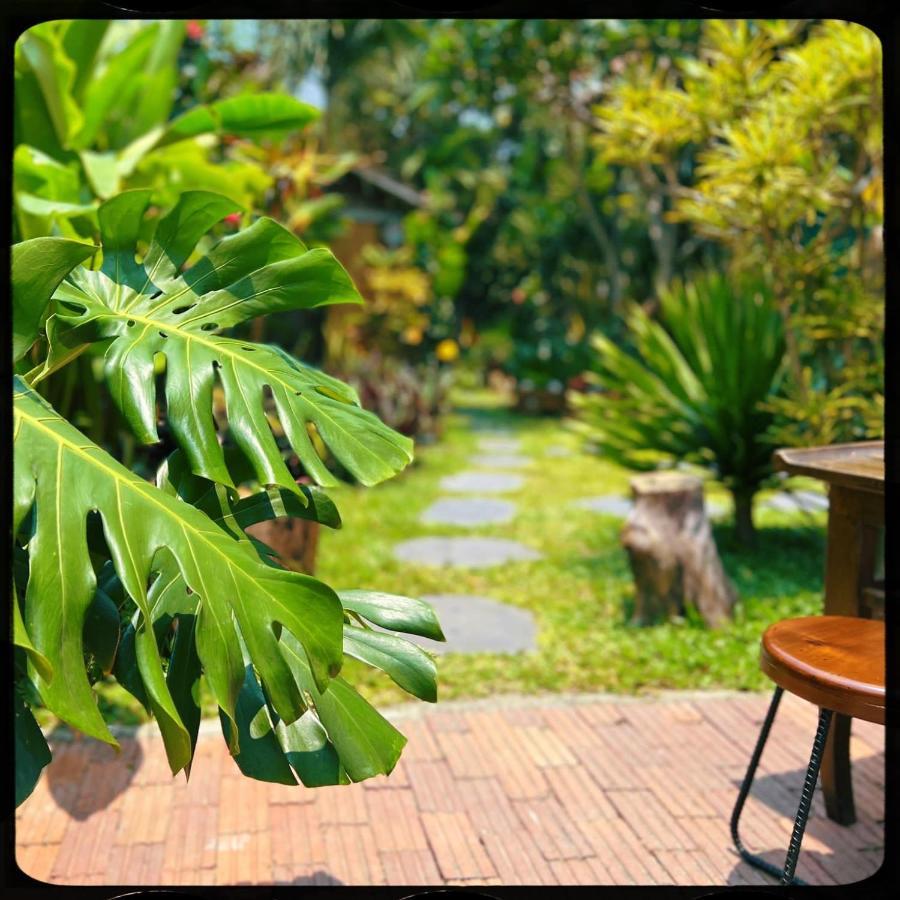 The Happy Bird B&B 호이안 외부 사진